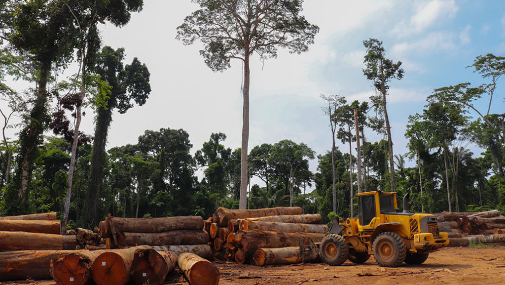 Facts about climate change The state of the climate - Deforestation