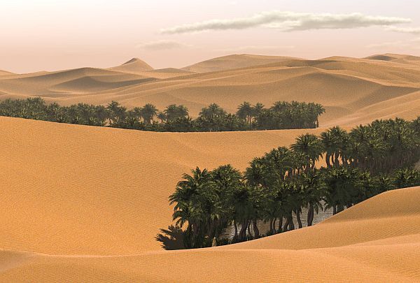 The Sahara used to be a tropical area, so how did it become the harsh arid region it is today? The answer to this question takes us several thousands of years back. The Sahara has long been subject to periodic bouts of humidity and aridity. These fluctuations are caused by slight wobbles in the tilt of the Earth's orbital axis, which in turn changes the angle at which solar radiation penetrates the atmosphere. At repeated intervals throughout Earth's history, there's been more energy pouring in from the sun during the West African monsoon season. During those times, known as African Humid Periods, much more rain comes down over North Africa. With more rain, the region gets more greenery and rivers and lakes.