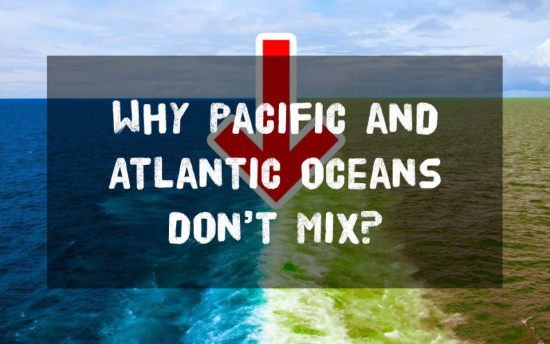 Why Pacific and Atlantic oceans don’t mix