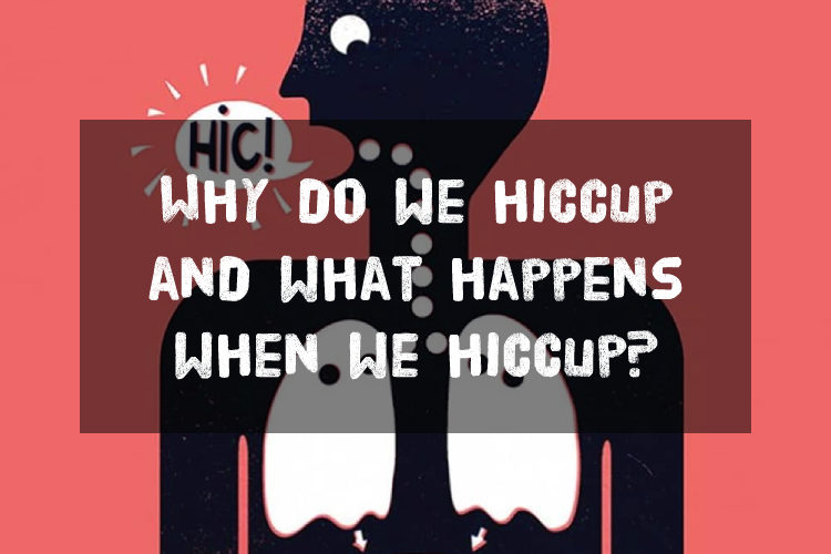 Why do we hiccup and what happens when we hiccup?