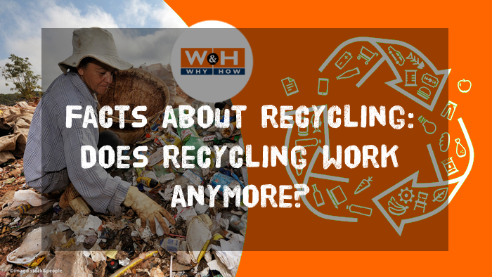 Facts about recycling: Does recycling work anymore?