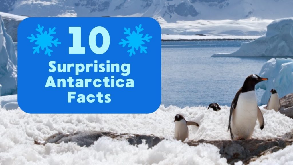 10 Surprising Facts About Antarctica You Should Know