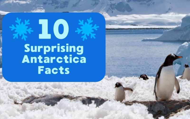 10 Surprising Facts About Antarctica You Should Know